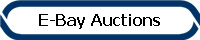 E-Bay Auctions
